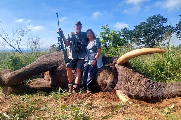 mountrackers_caza_rececho_0000_Elefante4