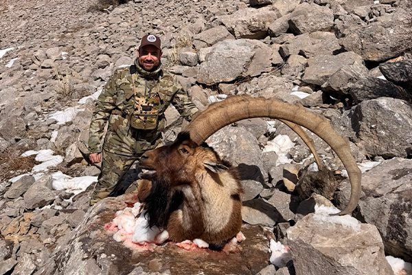 mountrackers_caza_rececho_0001_Bezoar3