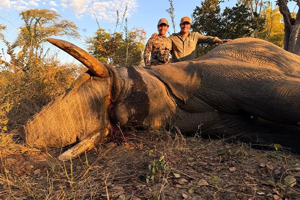 mountrackers_caza_rececho_0001_Elefante3