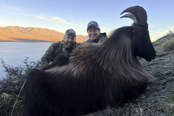 mountrackers_caza_rececho_0001_Tahr1